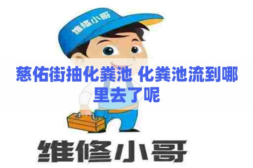 慈佑街抽化粪池 化粪池流到哪里去了呢