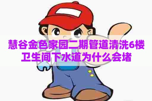 慧谷金色家园二期管道清洗6楼卫生间下水道为什么会堵