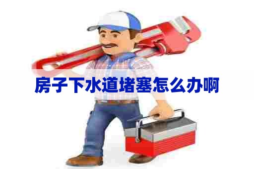 房子下水道堵塞怎么办啊