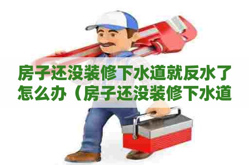 房子还没装修下水道就反水了怎么办(房子还没装修下水道就反水了怎么办) 房子还没装修下水道就反水了怎么办(房子还没装修下水道就反水了怎么办)