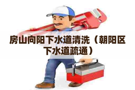 房山向阳下水道清洗（朝阳区下水道疏通）