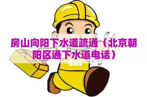 房山向阳下水道疏通（北京朝阳区通下水道电话）