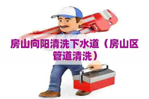 房山向阳清洗下水道（房山区管道清洗）