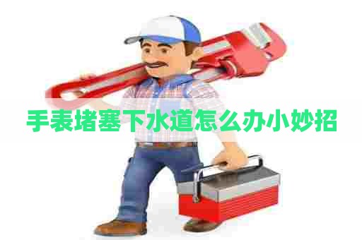 手表堵塞下水道怎么办小妙招