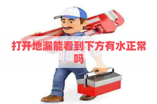 打开地漏能看到下方有水正常吗