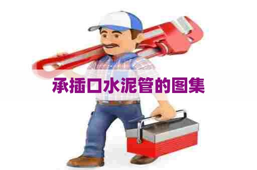 承插口水泥管的图集