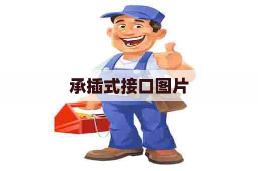 承插式接口图片