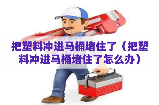 把塑料冲进马桶堵住了（把塑料冲进马桶堵住了怎么办）