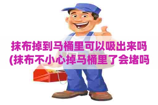 抹布掉到马桶里可以吸出来吗(抹布不小心掉马桶里了会堵吗)