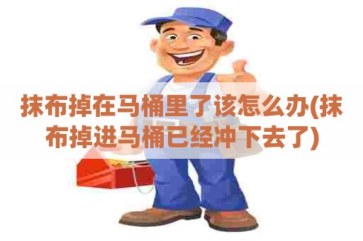 抹布掉在马桶里了该怎么办(抹布掉进马桶已经冲下去了)