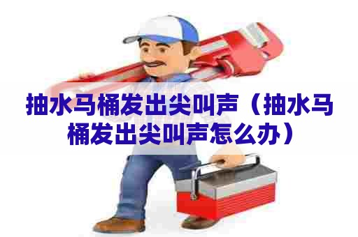 抽水马桶发出尖叫声（抽水马桶发出尖叫声怎么办）