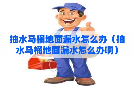 抽水马桶地面漏水怎么办（抽水马桶地面漏水怎么办啊）