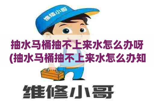 抽水马桶抽不上来水怎么办呀(抽水马桶抽不上来水怎么办知乎)