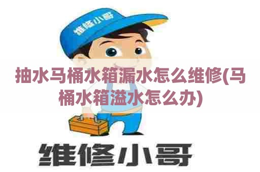 抽水马桶水箱漏水怎么维修(马桶水箱溢水怎么办)