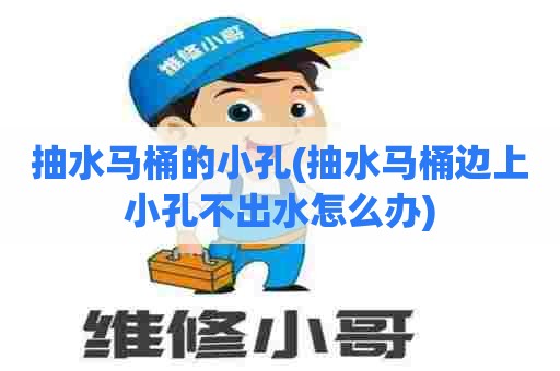 抽水马桶的小孔(抽水马桶边上小孔不出水怎么办)