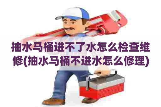 抽水马桶进不了水怎么检查维修(抽水马桶不进水怎么修理)