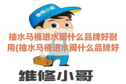 抽水马桶进水阀什么品牌好耐用(抽水马桶进水阀什么品牌好一点)