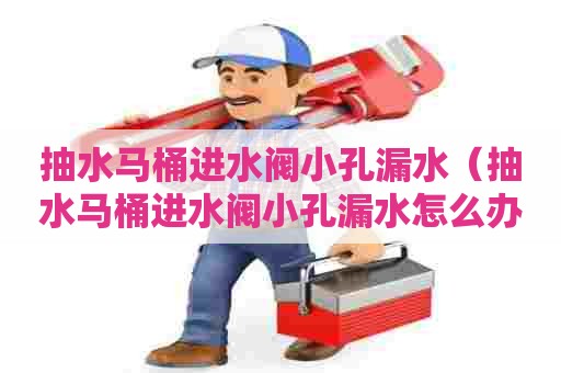 抽水马桶进水阀小孔漏水（抽水马桶进水阀小孔漏水怎么办）