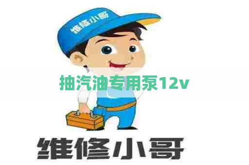 抽汽油专用泵12v