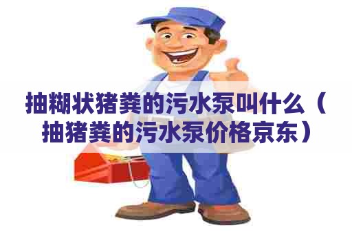 抽糊状猪粪的污水泵叫什么（抽猪粪的污水泵价格京东）