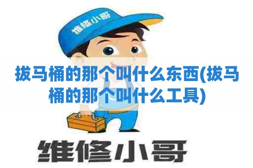 拔马桶的那个叫什么东西(拔马桶的那个叫什么工具)