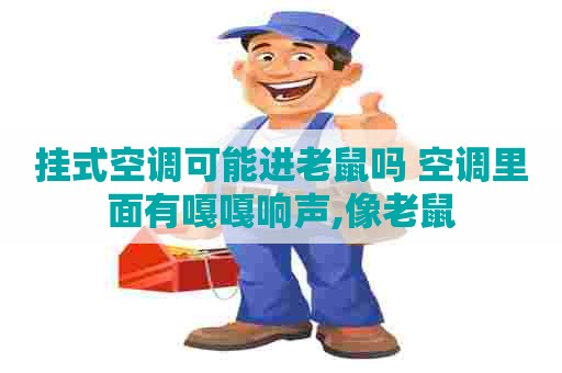 挂式空调可能进老鼠吗 空调里面有嘎嘎响声,像老鼠