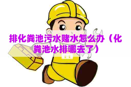 排化粪池污水赌水怎么办（化粪池水排哪去了）