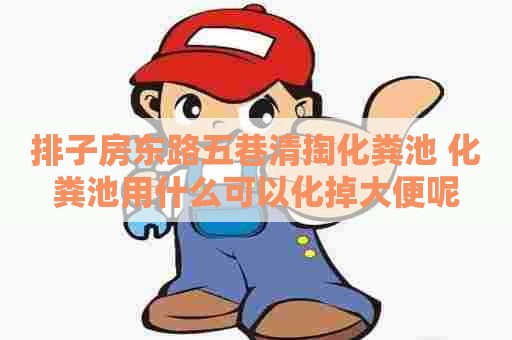 排子房东路五巷清掏化粪池 化粪池用什么可以化掉大便呢