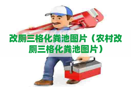 改厕三格化粪池图片（农村改厕三格化粪池图片）