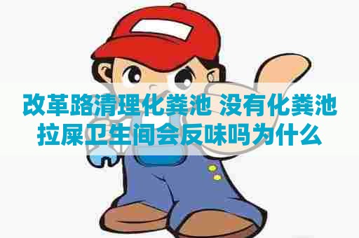 改革路清理化粪池 没有化粪池拉屎卫生间会反味吗为什么