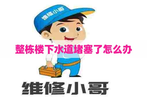 整栋楼下水道堵塞了怎么办