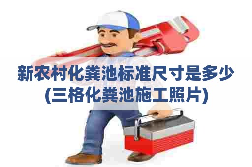 新农村化粪池标准尺寸是多少(三格化粪池施工照片)