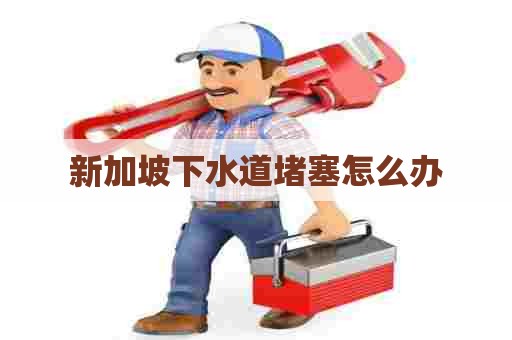 新加坡下水道堵塞怎么办