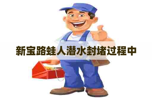 新宝路蛙人潜水封堵过程中