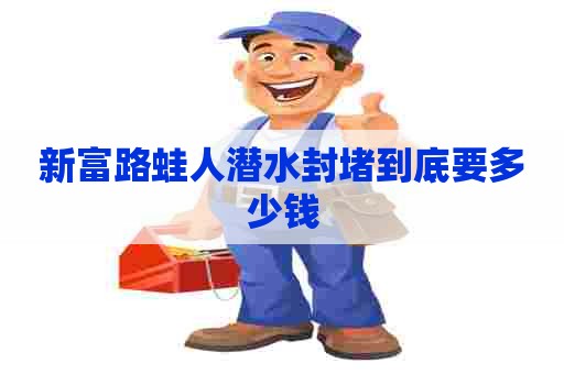 新富路蛙人潜水封堵到底要多少钱