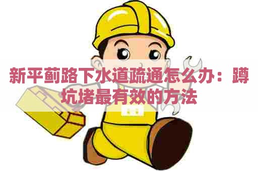 新平蓟路下水道疏通怎么办：蹲坑堵最有效的方法