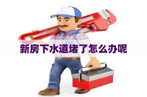 新房下水道堵了怎么办呢
