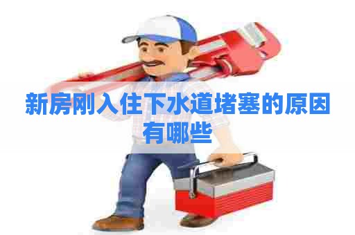 新房刚入住下水道堵塞的原因有哪些