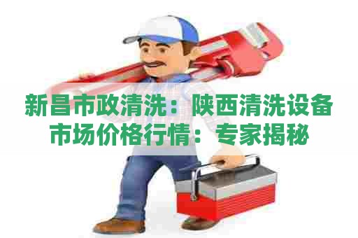 新昌市政清洗：陕西清洗设备市场价格行情：专家揭秘