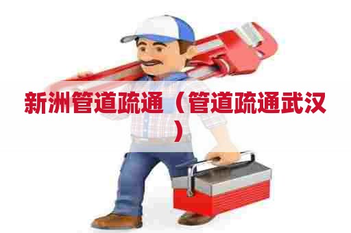 新洲管道疏通(管道疏通武汉) 新洲管道疏通(管道疏通武汉)