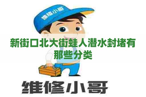 新街口北大街蛙人潜水封堵有那些分类