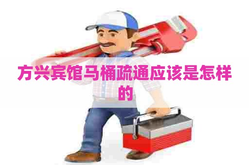 方兴宾馆马桶疏通应该是怎样的 方兴宾馆马桶疏通应该是怎样的