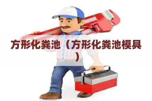 方形化粪池（方形化粪池模具）