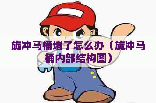 旋冲马桶堵了怎么办（旋冲马桶内部结构图）