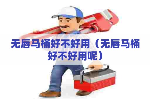 无唇马桶好不好用（无唇马桶好不好用呢）