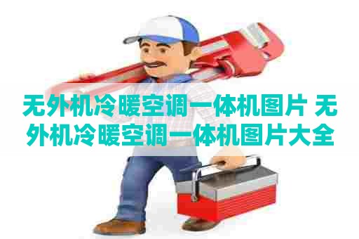 无外机冷暖空调一体机图片 无外机冷暖空调一体机图片大全