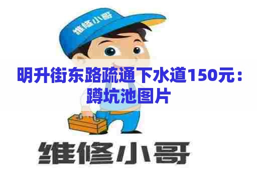 明升街东路疏通下水道150元：蹲坑池图片