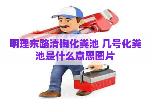 明理东路清掏化粪池 几号化粪池是什么意思图片