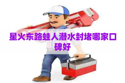 星火东路蛙人潜水封堵哪家口碑好