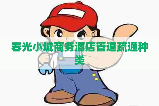 春光小城商务酒店管道疏通种类